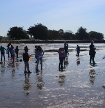 Students in the Exploring Your Watershed program explore Crab Cove.