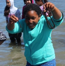 Exciting discoveries at Crab Cove.