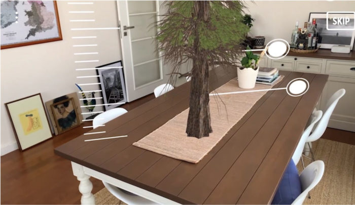 redwood on desk