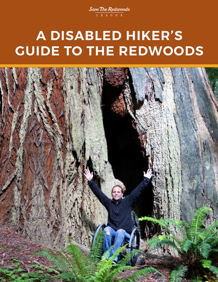 A Disabled Hiker’s Guide to the Redwoods. A photo of
a smiling person in a wheelchair raises their arms centered at the bottom of the frame. A giant coast redwood tree fills the frame. 