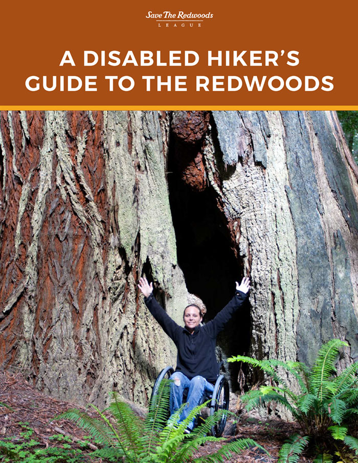 A Disabled Hiker’s Guide to the Redwoods. A photo of
a smiling person in a wheelchair raises their arms centered at the bottom of the frame. A giant coast redwood tree fills the frame. 