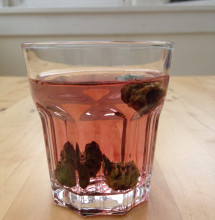 Green cones leach tannins into a glass of water, turning it a lovely shade of red.