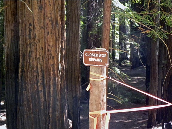 After crossing the footbridge, closed signs currently greet visitors who try to hike through the GCA Grove to other areas of the park. The League is excited to partner with GCA and Humboldt Redwoods State Park to restore and reopen this trail.
