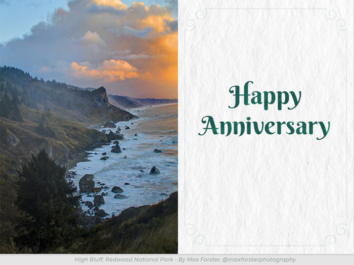 Anniversary free redwoods greetings ecard