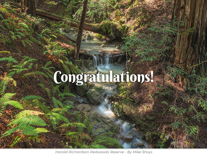 Congratulations free redwoods greetings ecard