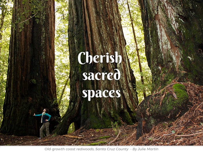 Cherish redwoods greetings ecard