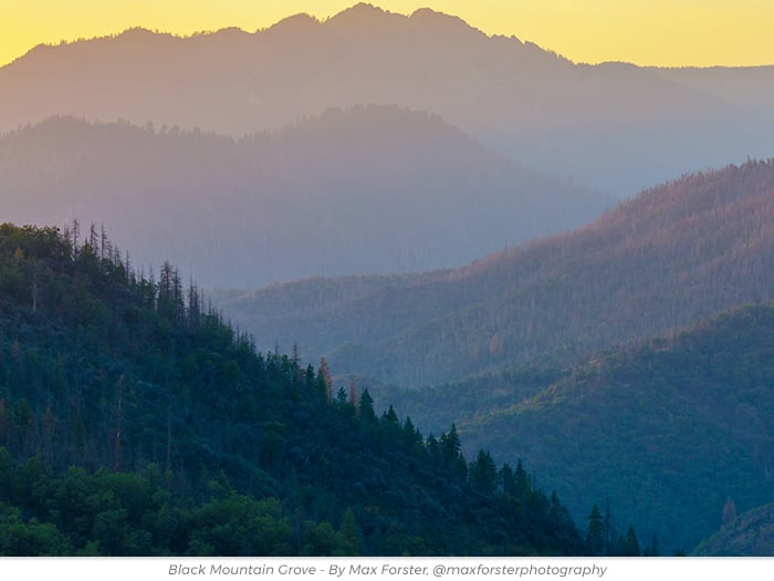 Cherish redwoods greetings ecard