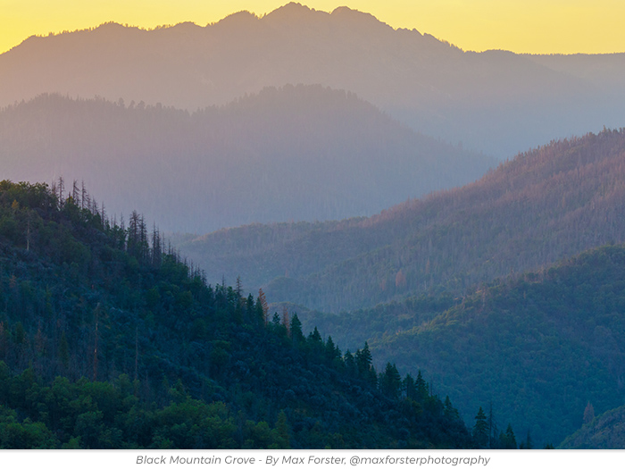 Cherish redwoods greetings ecard