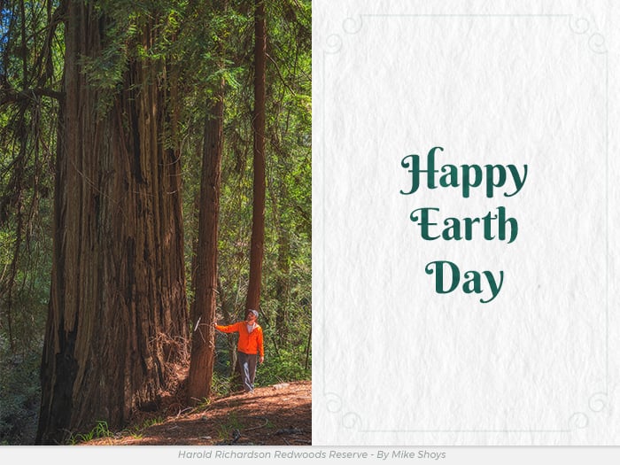 Earth Day redwoods greetings ecards
