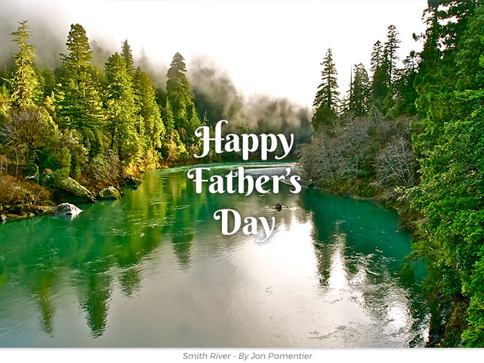Father's Day redwoods honor greeting ecard