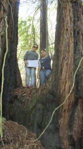 Students at Pepperwood Preserve in Sonoma take a break while conducting a study on redwoods. 