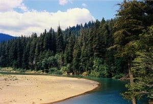 Eel River. Photo by Howard King