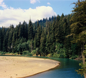 Eel River. Photo by Howard King