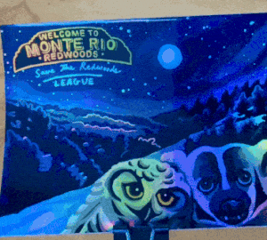 Cozy up under the starry skies of Monte Rio