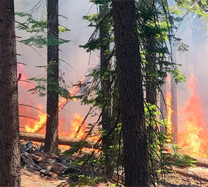 Check our social media for updates on fire near Mariposa Grove