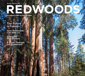 Check out the latest issue of Redwoods magazine