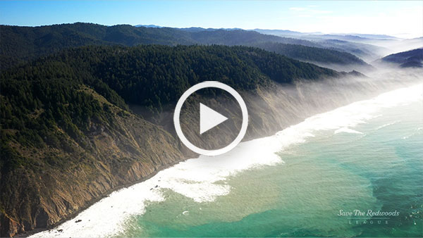 Once-in-a-generation chance to protect spectacular redwood coast