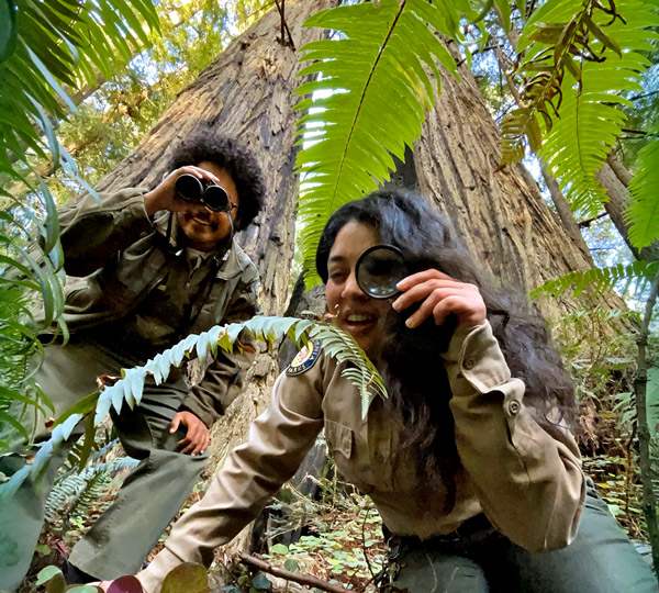 A career translating the natural world