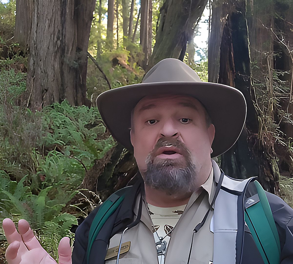 The problem with pseudo forests