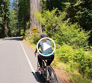 Five awesome bike rides through the redwoods