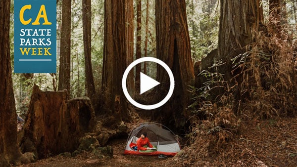Join us in the redwoods during California State Parks Week