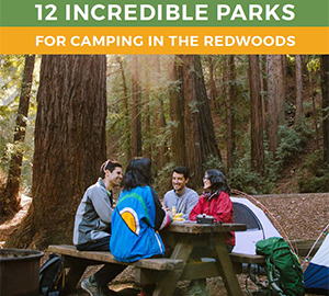 Free guide: 12 incredible parks for camping in the redwoods