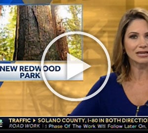 Video: A great year for Save the Redwoods League in the news