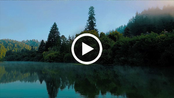 An insider's look at Russian River Redwoods