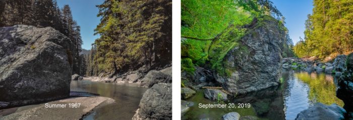 Images of a creek with a large rock surrounded by forest, the one on the left shot in summer 1967 and the one on the right shot on September 20, 2019, showing deeper water..