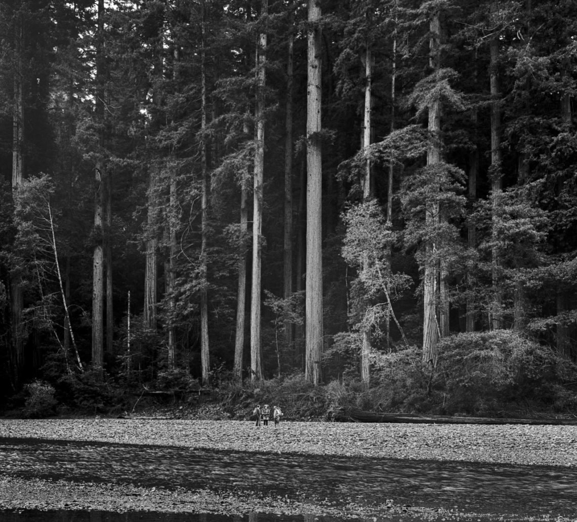 Black and white photo of a forest next to a dry creek, with hikers in the distance
