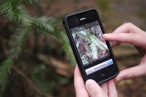 Become a citizen science and help us track climate change. 