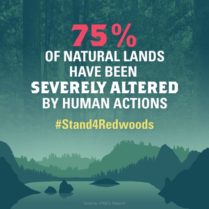 75% of natural lands have been severely altered by human actions