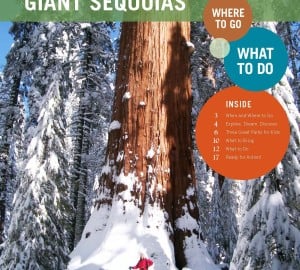 Save the Redwoods League introduces a new free travel guide for parents and kids