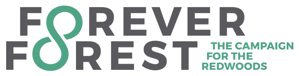 Forever Forest logo