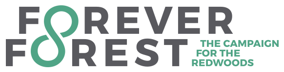 Forever Forest logo