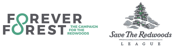 Forever Forest - Save the Redwoods League