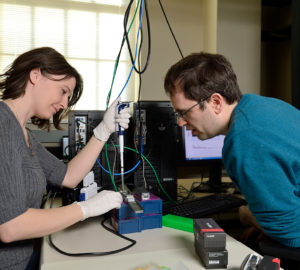 Scientists completed sequencing the coast redwood and giant sequoia genomes. Photo by Will Kirk of Homewood Photography (JHU)