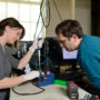 Scientists completed sequencing the coast redwood and giant sequoia genomes. Photo by Will Kirk of Homewood Photography (JHU)