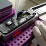 Redwood Genome Project lab. Photo by Will Kirk of Homewood Photography (JHU)