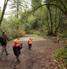 #GreenFriday event at Samuel P. Taylor State Park on Nov 25. Photo by Paolo Vescia