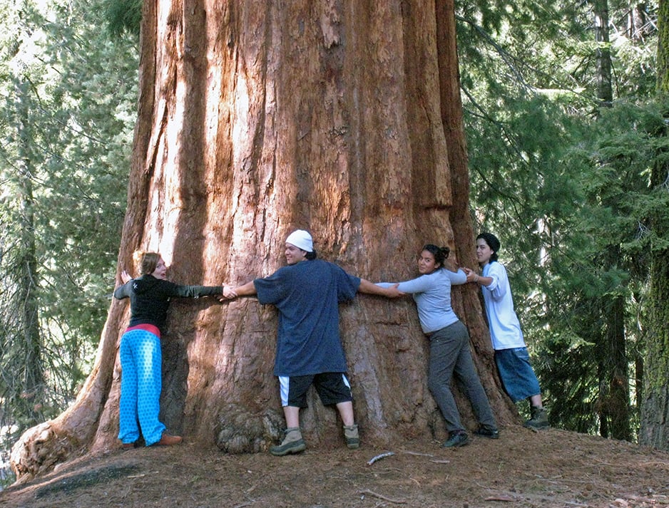 People come from around the globe to stand in awe under the largest living things on Earth. Places like Giant Sequoia National Monument protect the what remains of our giant sequoia groves.