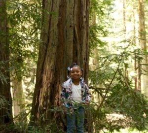 A young girl smiles at the camera as she enjoys exploring a redwood park. She is standing in front of a young redwood tree. Learn how to connect kids with the redwoods from a distance.