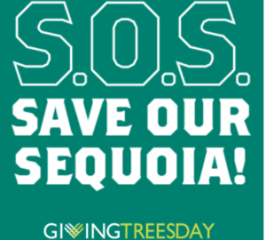 Donors respond to our S.O.S. (Save Our Sequoia)