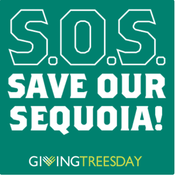 giving treesday logo SOS