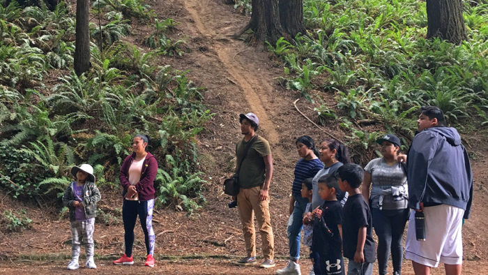A group gathers before a walk through the redwoods.