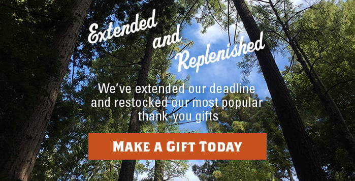 Donate today to care for the Members Centennial Grove 2018 in Peters Creek Old-Growth Forest