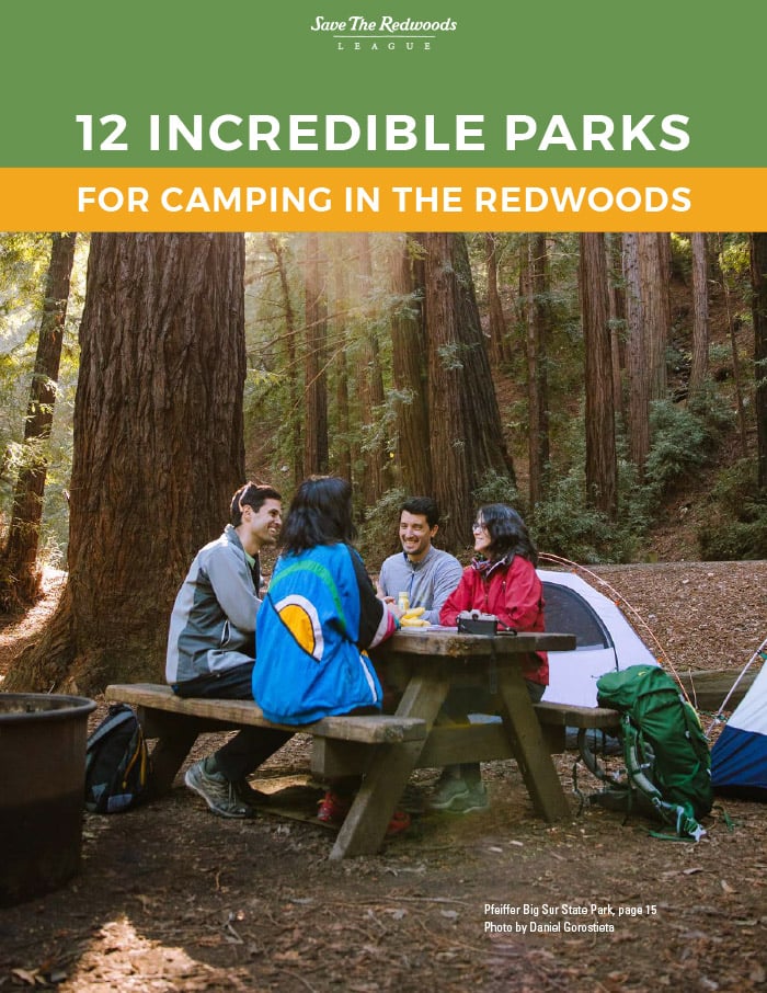 Free Camping in the Redwoods Guide