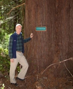 Photo caption: Harry and the Founder’s Tree. Photo by John Birchard: Redwood Forest Foundation, June 12, 2013.