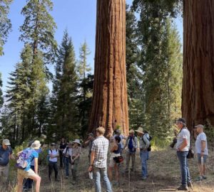 Visit to Alder Creek, Redwood Hike Series 2021