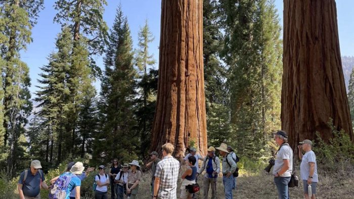 Hike Series Welcomes Members Back to Forests